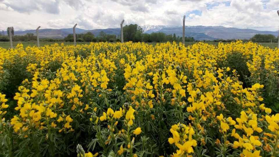 Dikkat! Cezası 73 bin lira