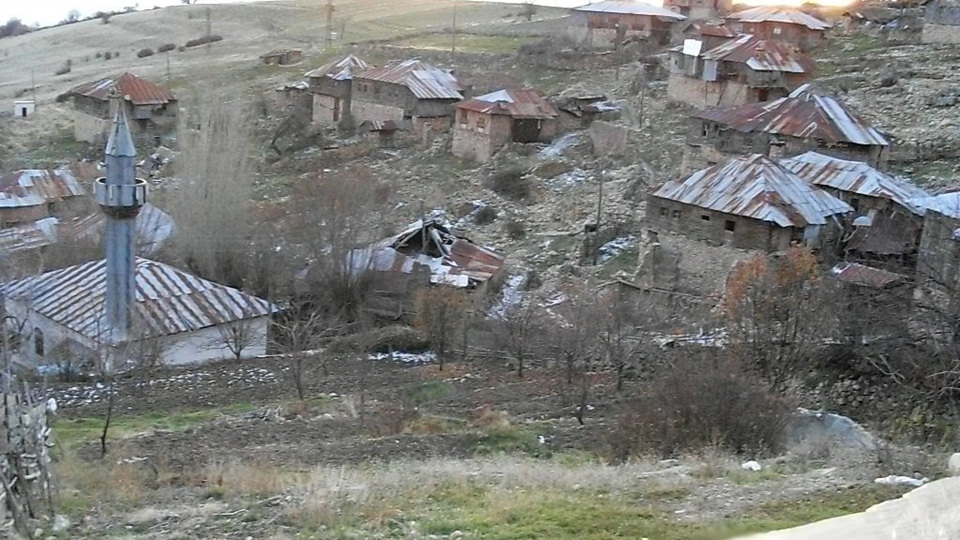 Başkent'te 5 çocuk annesi kadına ayı saldırdı!