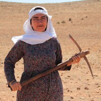 Hükümet gibi kadın