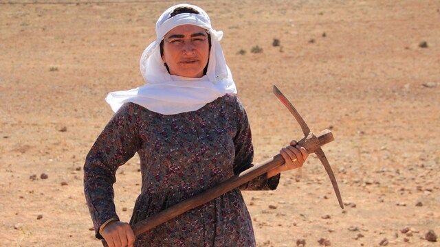 Hükümet gibi kadın