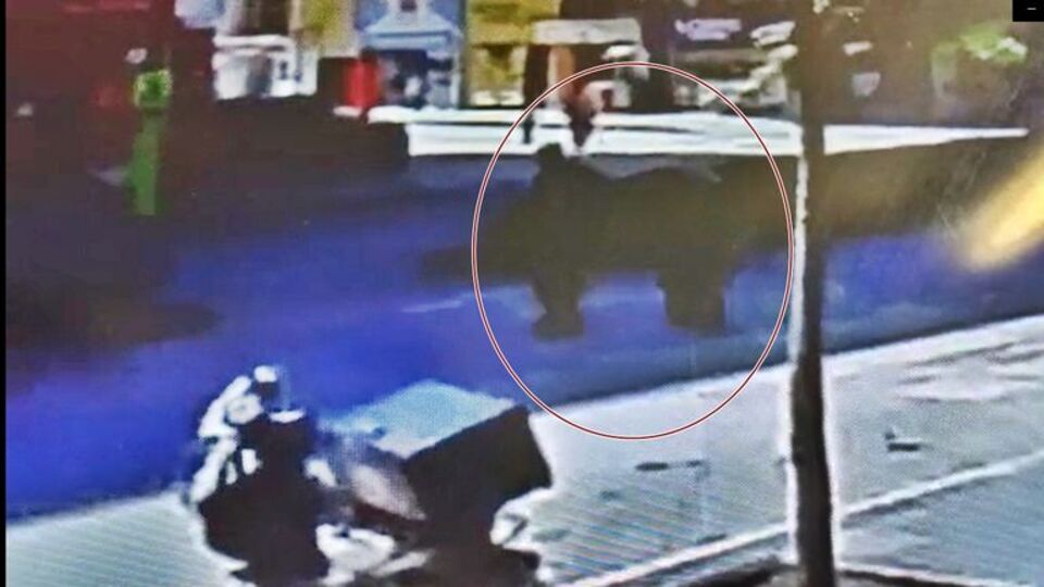 Günler sonra dışarı çıkmışlardı! "Havamızı hastanede aldık!"