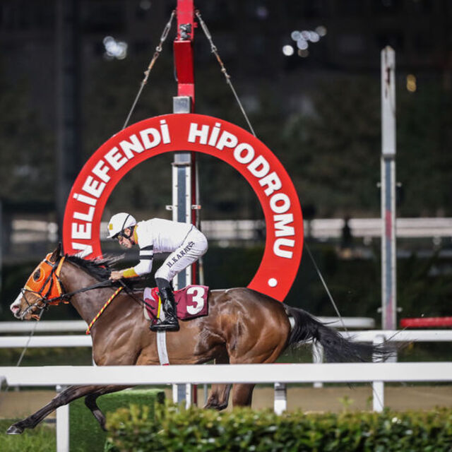 Atçılık camiası yarışlara dönüş istiyor