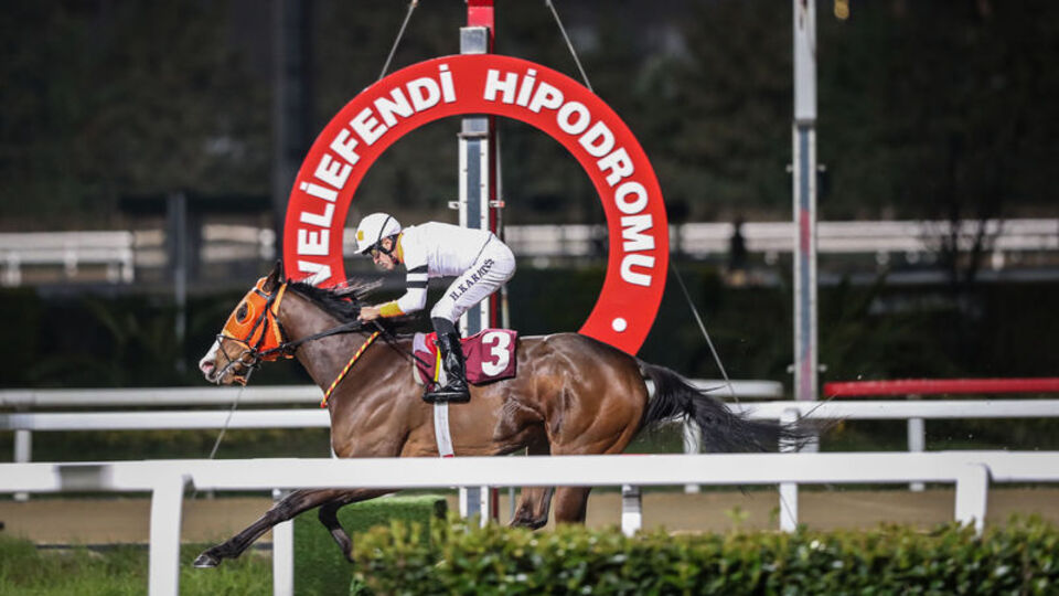 Atçılık camiası yarışlara dönüş istiyor