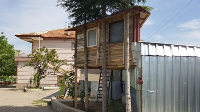 Kızları için inşa etti! Komşular sıraya girdi