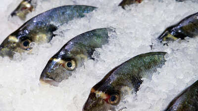Gıda işletmelerine dondurulmuş balık uyarısı