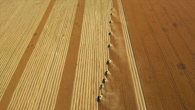 "Dünya nüfusunun yüzde 90'ı Türk unu tüketiyor"