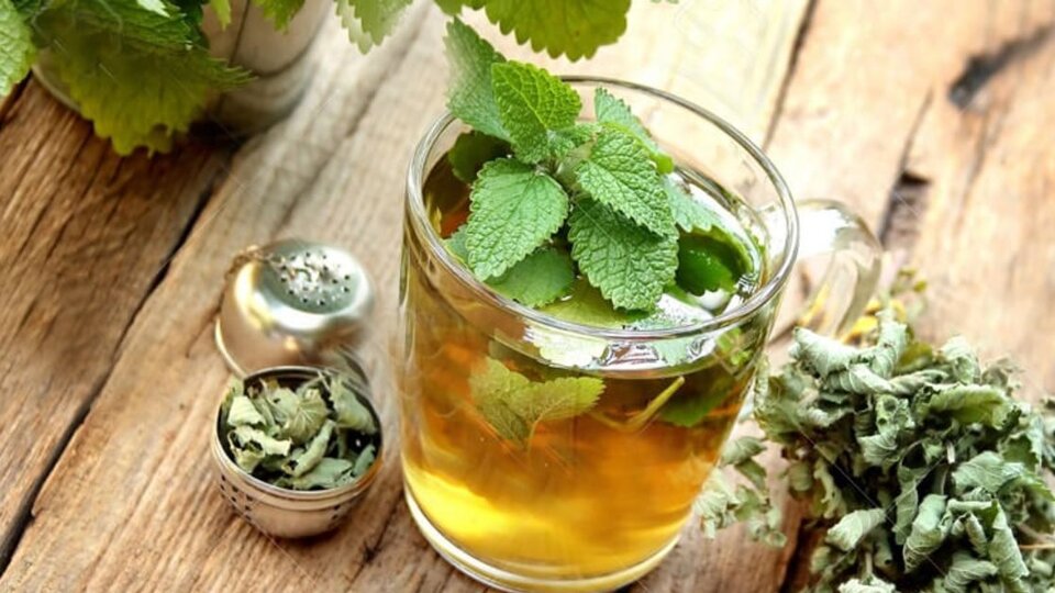 Melisa çayının faydaları ve yan etkileri