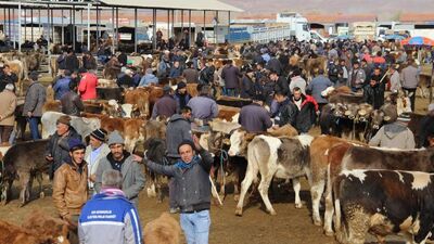 Şap hastalığı nedir?