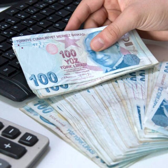 1000 TL Pandemi başvuru sonucu sorgula