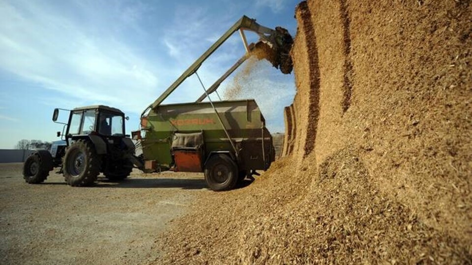 Tarım-ÜFE yıllık yüzde 8,58 arttı