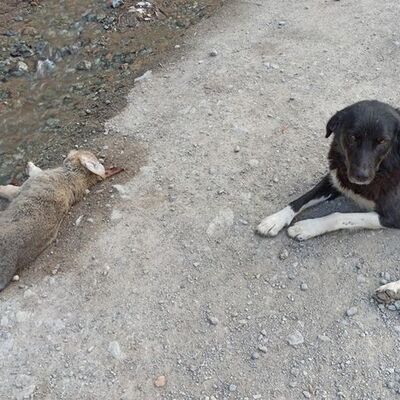 Annenin acı bekleyişi! Ayrılmadı