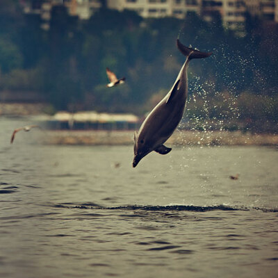 Saatlerce bekledi! Unutulmaz anlar...