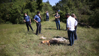 7 yavruyu öksüz bırakan vicdansız!