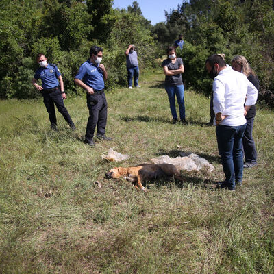 7 yavruyu öksüz bırakan vicdansız!