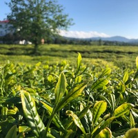 Güvenli hasat için 3 milyon TL yatırım