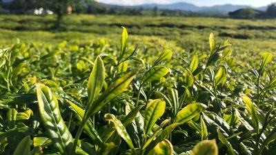 Güvenli hasat için 3 milyon TL yatırım
