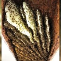 Sesten şüphelenip tavanı kırdı... Gözlerine inanamadı