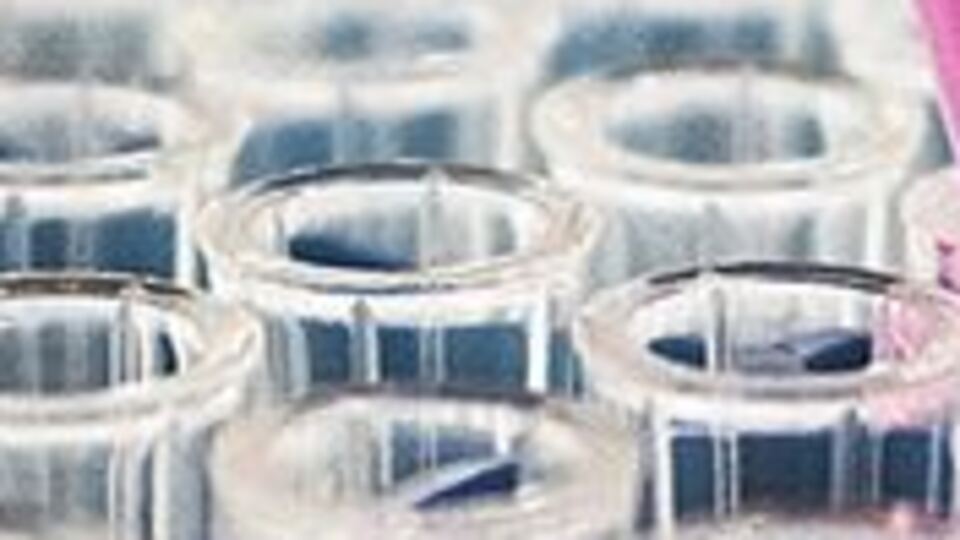 ABD'li ilaç firması: Yüzde yüz etkili antikor geliştirdik