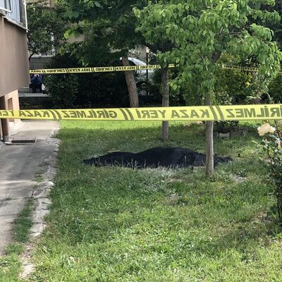 Korkunç şüphe! Yanarak 6. kattan düştü