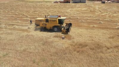 Hububat ve bakliyata Afrika ilgisi