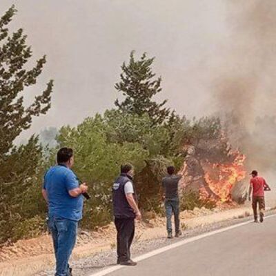 KKTC'de orman yangını