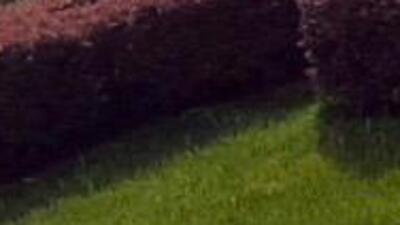 Kısıtlamada sıra dışı görüntü!