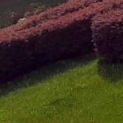 Kısıtlamada sıra dışı görüntü!