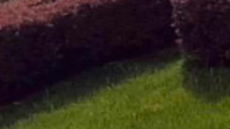 Kısıtlamada sıra dışı görüntü!