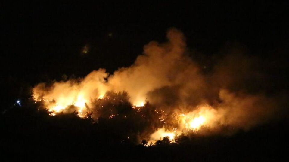 Adana'da ormanlık alanda yangın