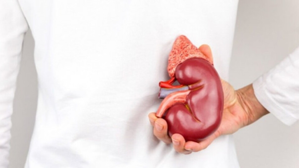 Böbrek taşı ağrısı tedavi yöntemleri