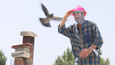 Şoke eden olay! Yaralansa da vazgeçmedi!