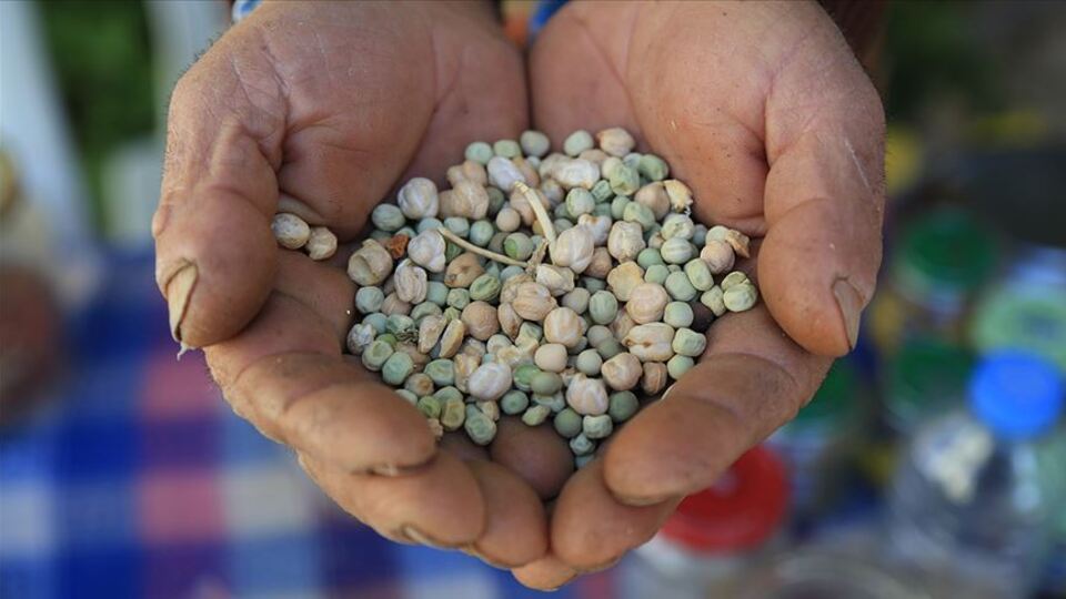 "Tohumculukta İsrail'e bağımlılık söz konusu değil"