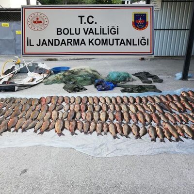 Kaçak avcıya 15 günde rekor ceza!