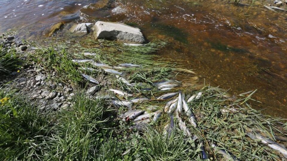 Korkutmuştu! Sebebi tespit edildi