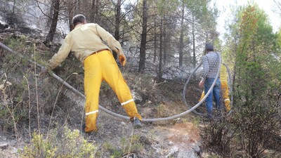 Adıyaman'da orman yangını!