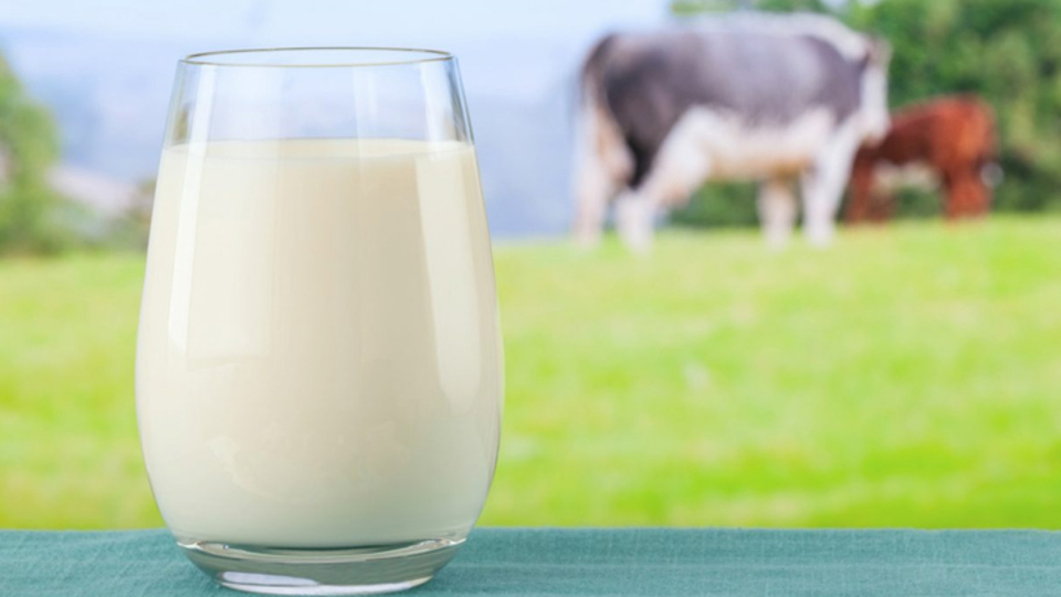 Şifa kaynağı sütte bulunan vitaminler