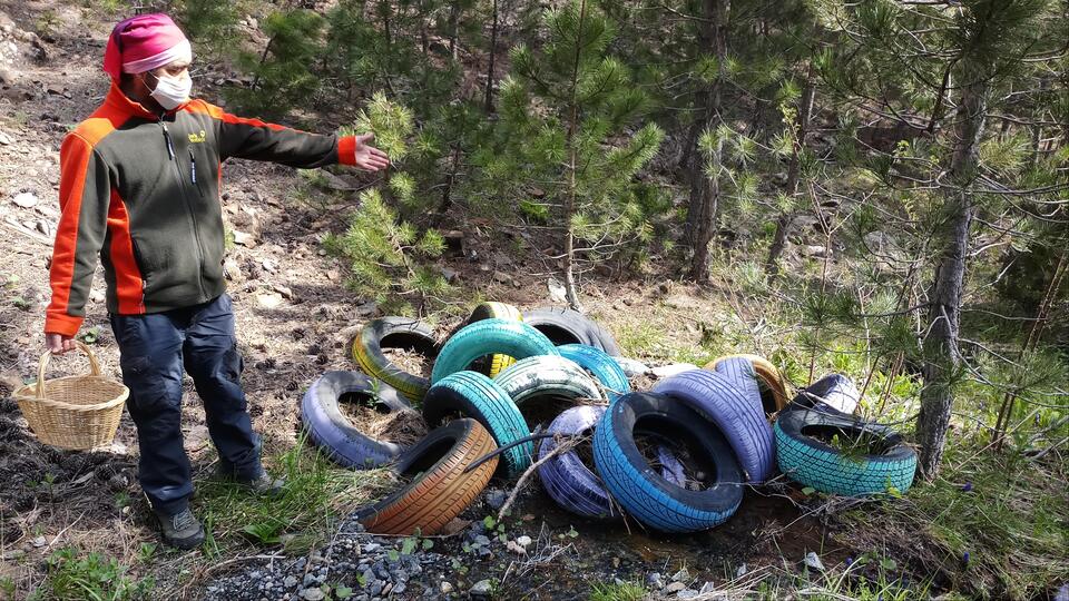 Ormanı çöplük sandılar! O kentte tepki çeken görüntüler!