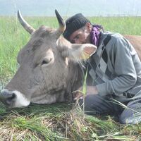 İki gün başından ayrılmadı! Ekmek parası!