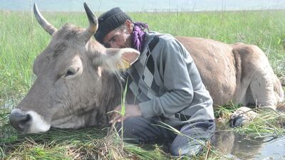 İki gün başından ayrılmadı! Ekmek parası!