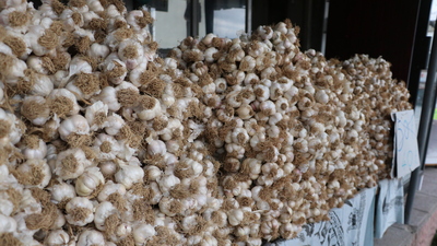 Taşköprü sarımsağı ile ilgili uyarı