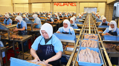 Dardanel'den ilk çeyrekte rekor ciro