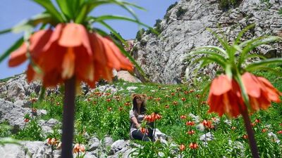 İki hafta yaşayabiliyor... Görsel şölen sunuyor