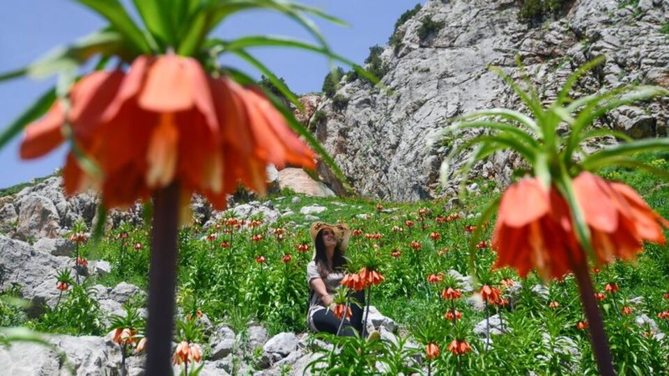İki hafta yaşayabiliyor... Görsel şölen sunuyor