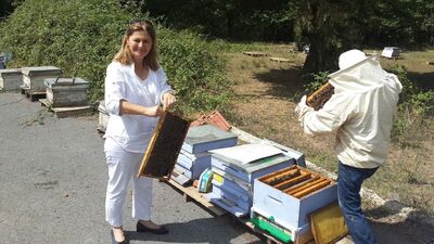 Dikkat! Uzmanlar uyardı! Sahte propolis piyasada!