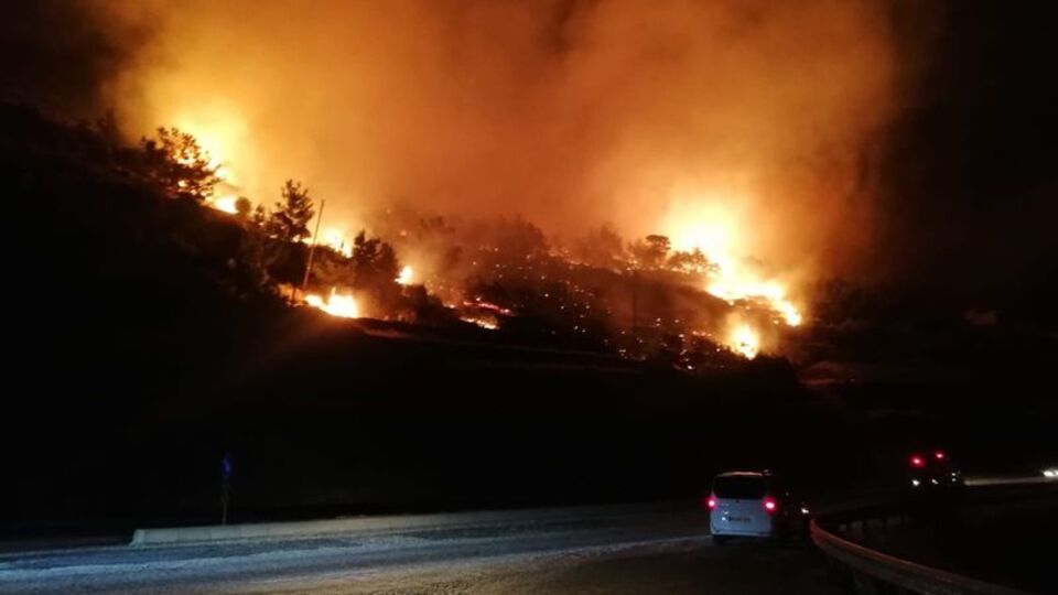 Mersin'de orman yangını! Kontrol altına alındı