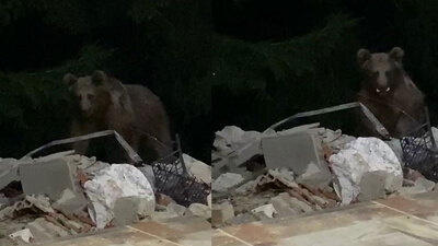 Evinin bahçesinde gördü, şoke oldu