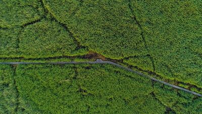 Bozkırın ortasındaki 'yeşil cennet'