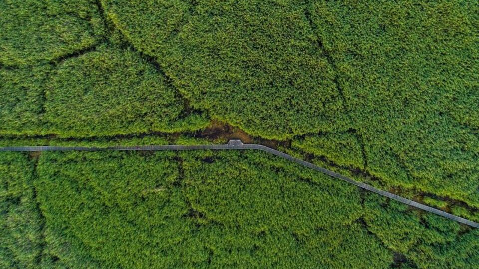 Bozkırın ortasındaki 'yeşil cennet'