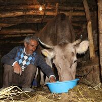 Mehmet amcanın yardımına Quick koştu