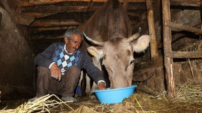 Mehmet amcanın yardımına Quick koştu